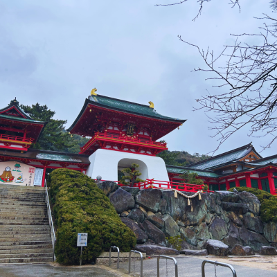 testimonial-jals-japan-enya testimonial-jals-japan-enya