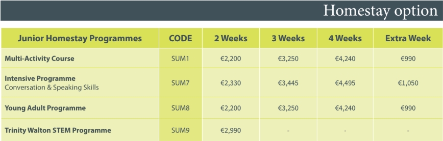 Emerald summer camp 費用