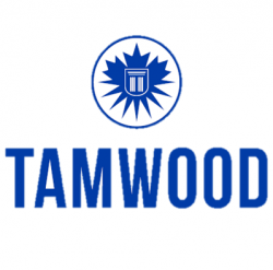 2021 暑假遊學 Tamwood 英語夏令營 (在台灣上實體課！) 